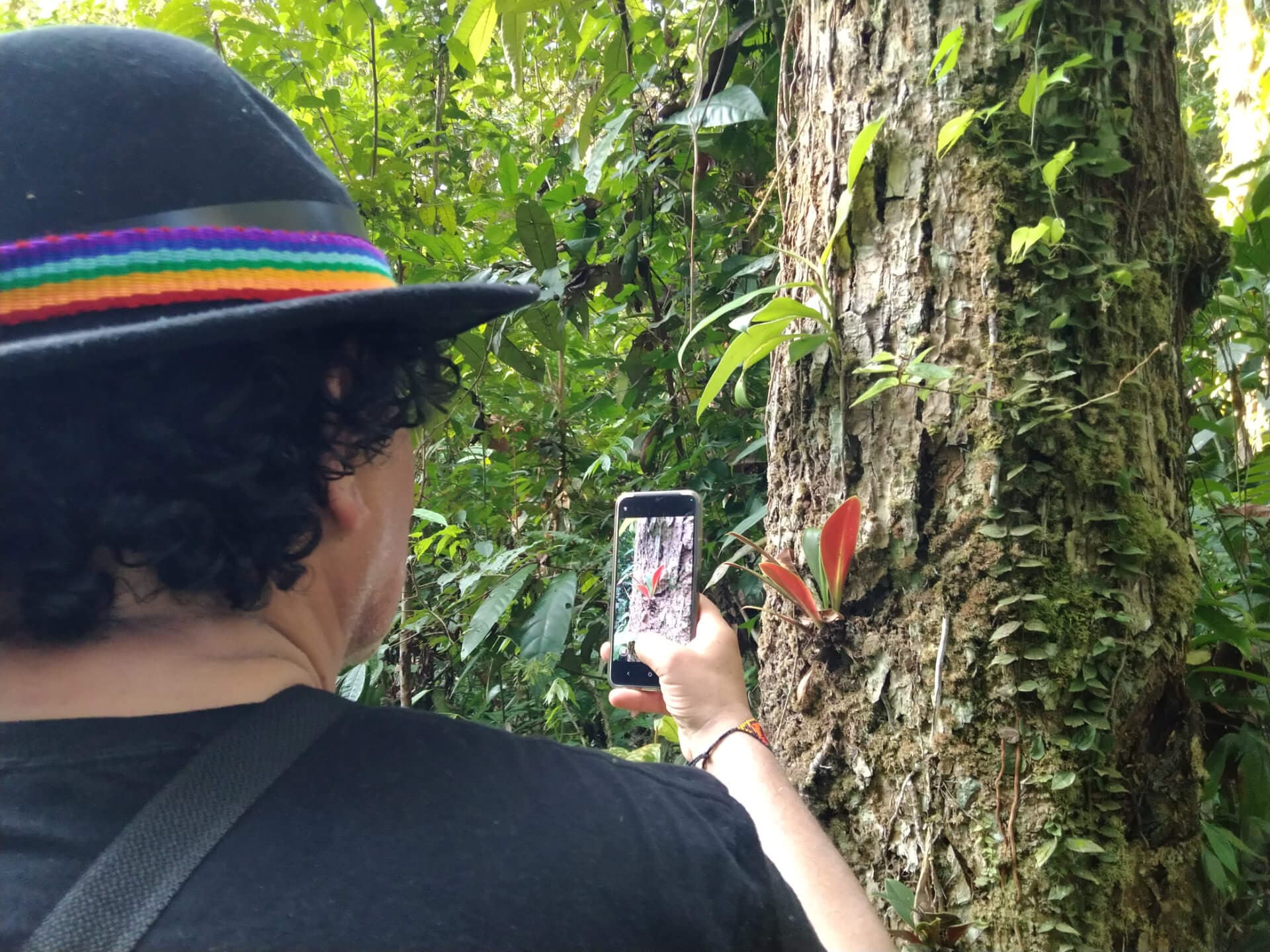 Colombia Exótica - 15 años