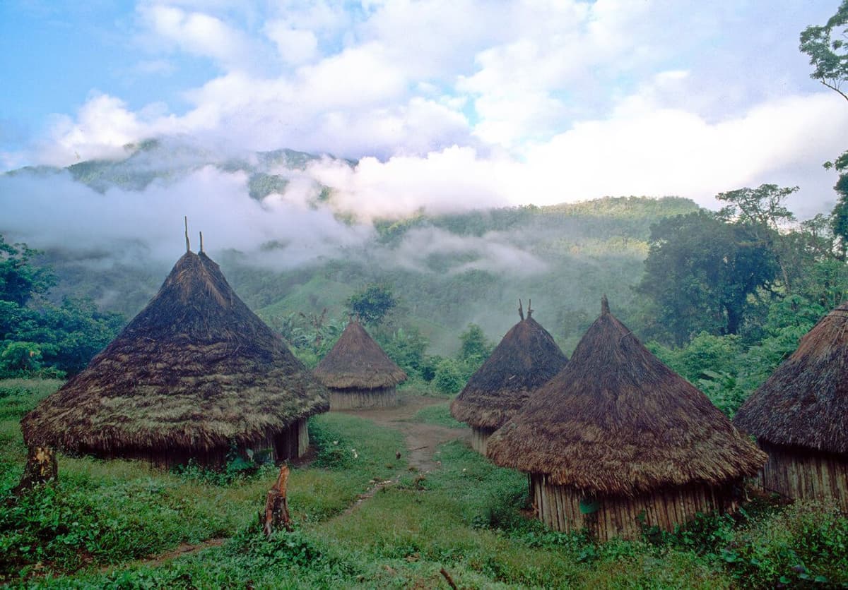 Vista aérea del Amazonas con un río curvo rodeado de bosque verde