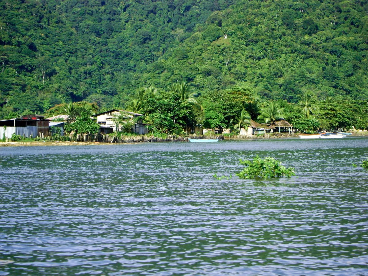 Vista aérea del Amazonas con un río curvo rodeado de bosque verde