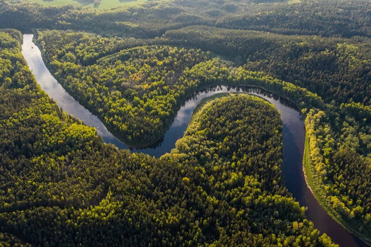 Vista aérea del Amazonas con un río curvo rodeado de bosque verde
